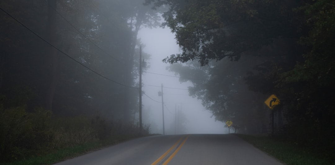 Empty road disappearing into a foggy horizon, evoking existential reflection