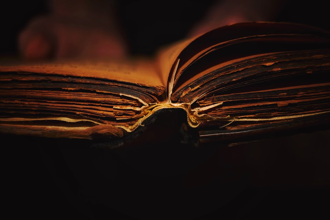 Close-up of an old, worn book with weathered pages